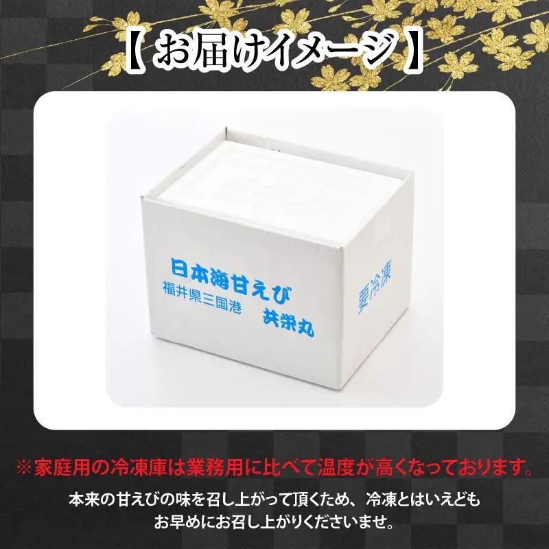 3ヶ月定期便 甘えび 合計約1.65kg (約550g ×3回) 中サイズ エビ [B-2326]