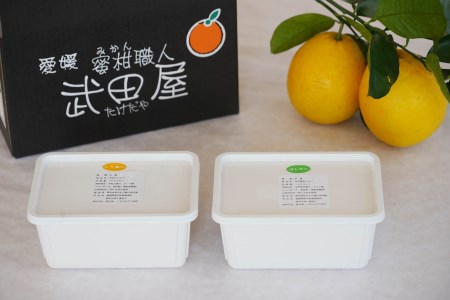 柑橘 アイス 1000ml 2種 アイス 武田屋