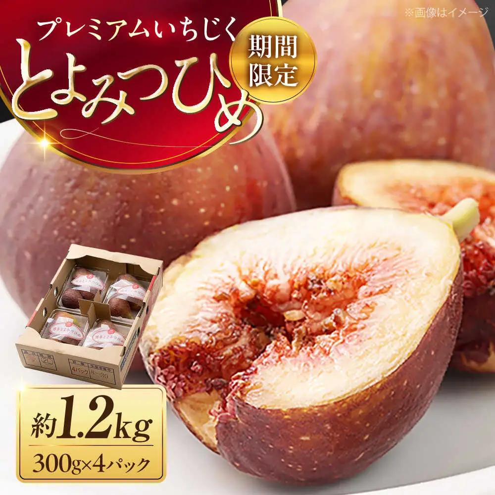 福岡県産ブランド無花果 とよみつひめ 約300g×4P VBY008