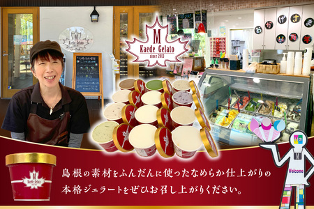 島根の新鮮な素材をふんだんに使った「イタリアンジェラート」（6個入） アイスクリーム 人気 スイーツ イタリアンジェラート お菓子 アイス ミルク チョコ 抹茶 苺 ギフト ご褒美 贈答【003_06