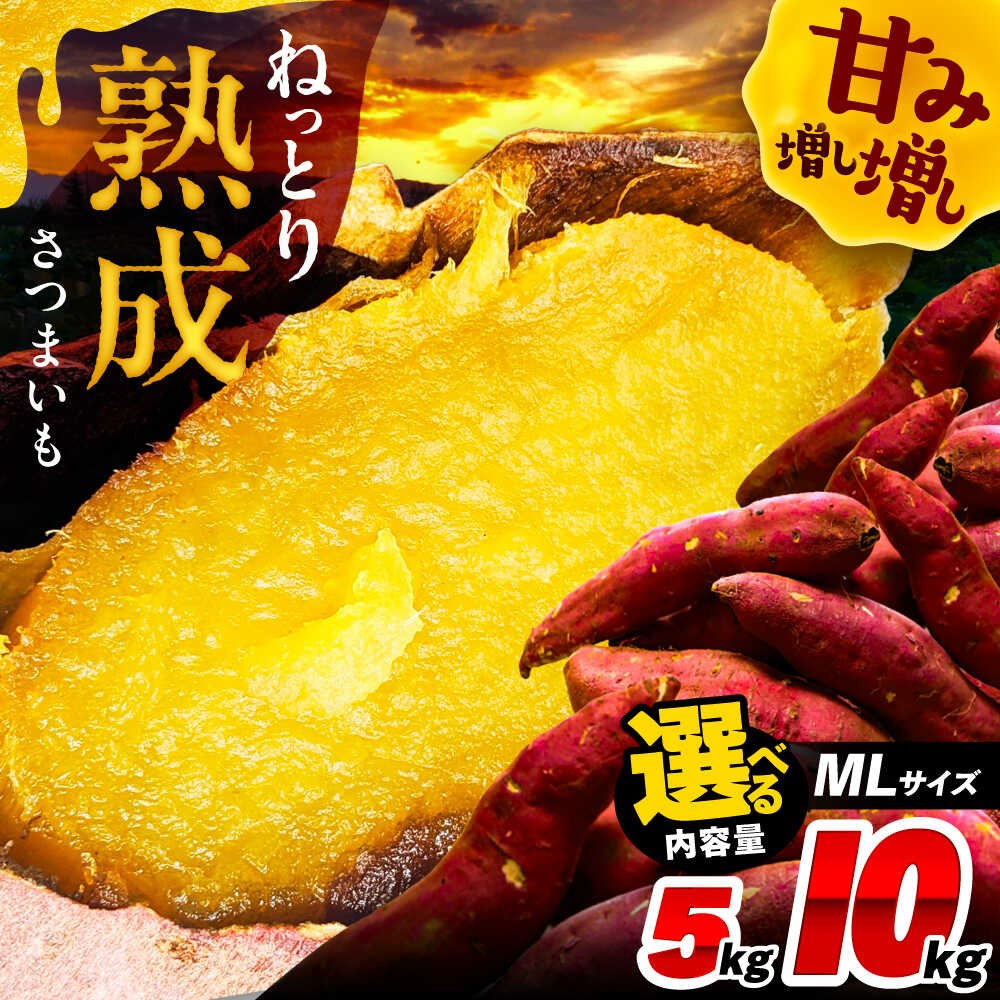 【ふるさと納税】＼選べる内容量／ さつまいも 焼き芋 焼きいも 紅はるか シルクスイート あまはづき 野菜 愛西市 / 川口農園[AEDH001]