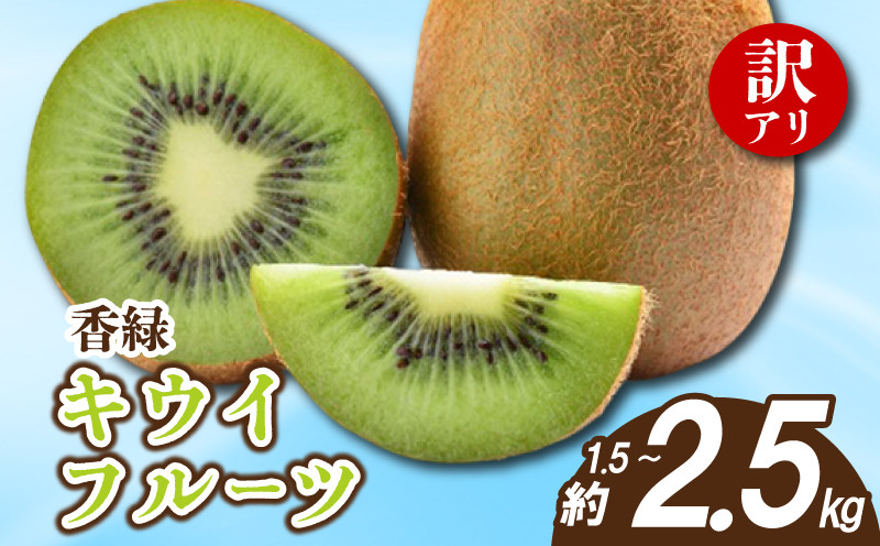 
            先行予約 キウイ 訳あり 約1.5kg 2.5kg キウイフルーツ グリーンキウイ サイズ混合 香緑キウイ 果物 果実 フルーツ 旬 デザート 選べる 容量 12月～1月下旬 配送 家庭用 贈答用 ギフト プレゼント 香川県 丸亀市
          