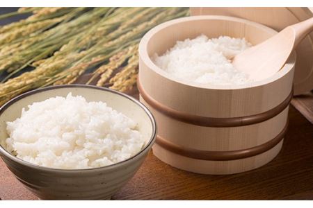 ＜定期便＞白河市産コシヒカリ精米5kg×3ヶ月連続 米 お米 コメ ごはん ご飯 食品 F25R-012