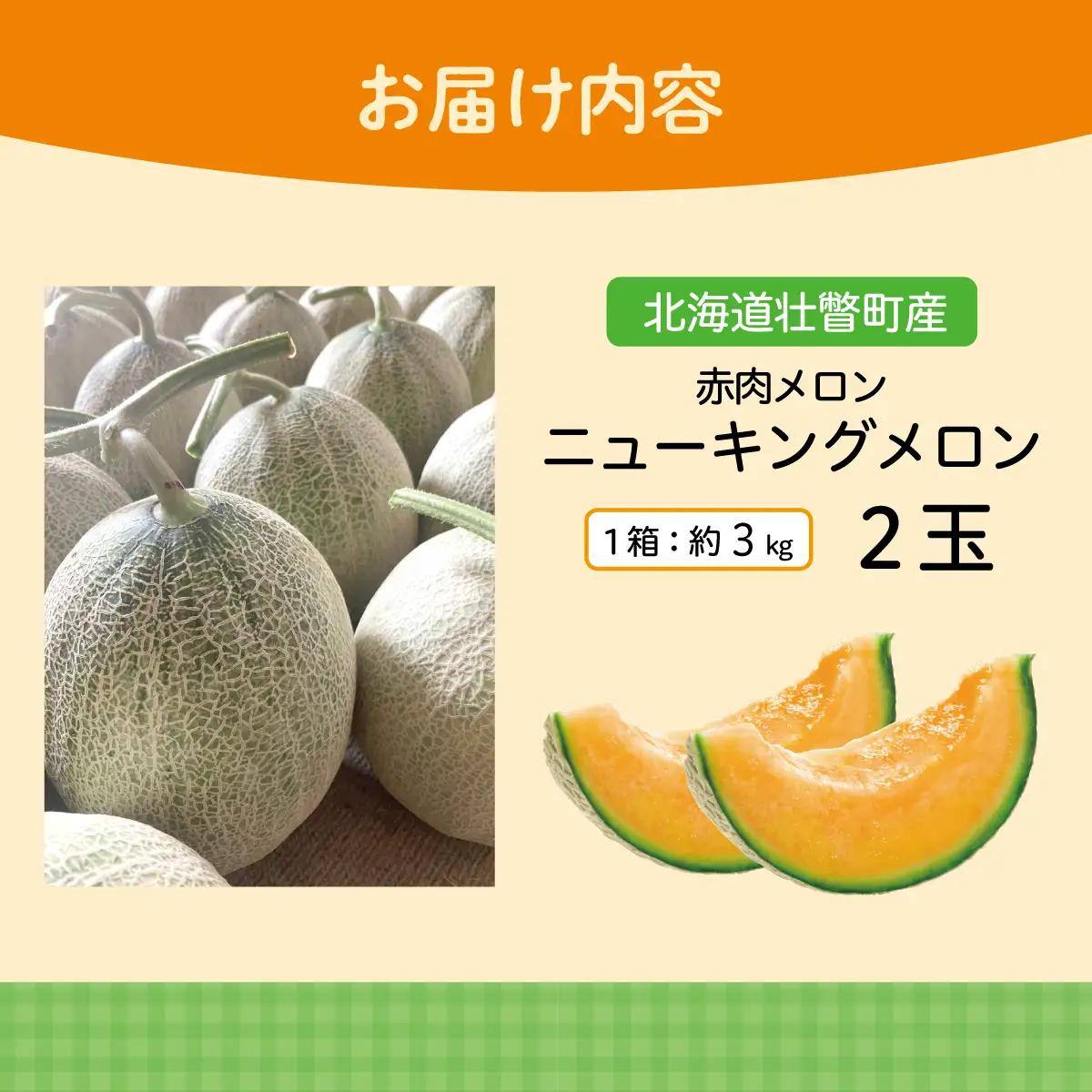 ＜2026年7月下旬よりお届け＞北海道壮瞥産 赤肉メロン（ニューキングメロン）2玉 約3kg SBTN003