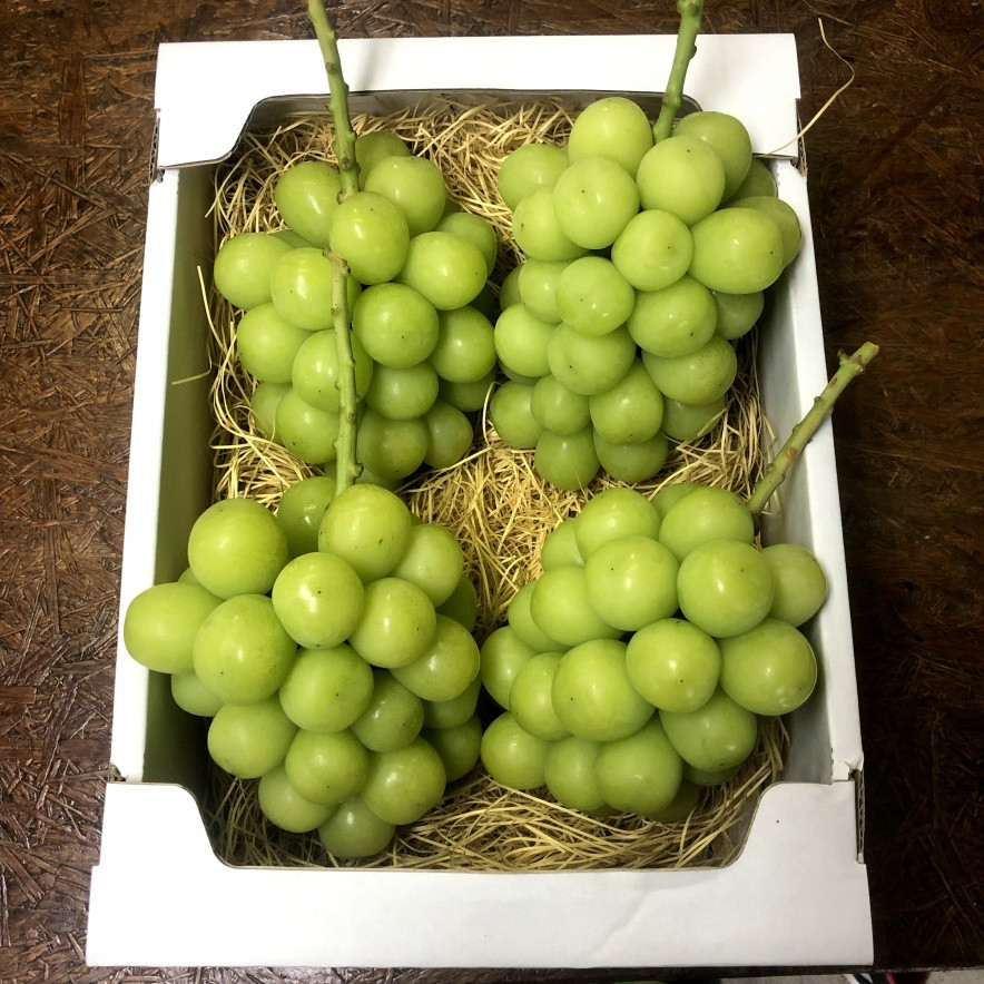 軸を長めに残してお届けします。