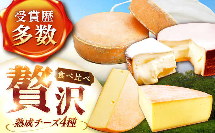 
            【全4回定期便/3ヵ月毎】北海道 チーズ 4種《足寄町》【しあわせチーズ工房】定期便 チーズ ナチュラルチーズ ハード ラクレット 生乳 ミルク 乳製品 おつまみ ギフト 食べ比べ 北海道産 あしょろ 138000 138000円 [BEAK022]
          