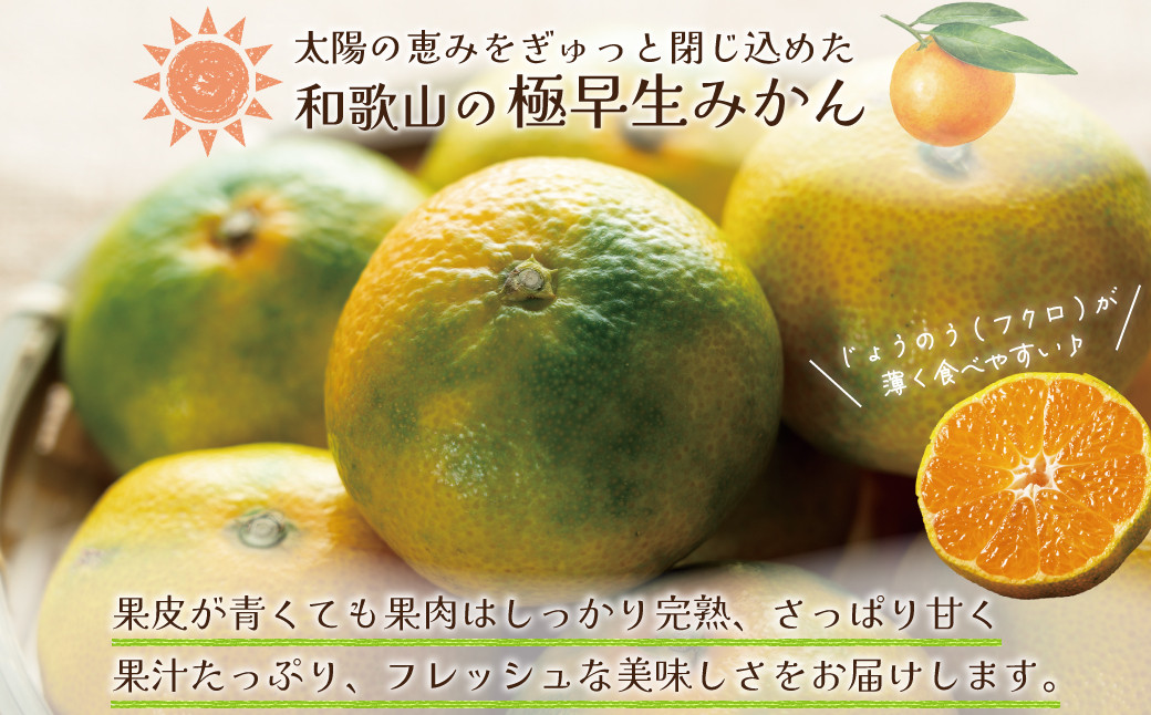 和歌山県産 極早生みかん 家庭用 Lサイズ 3kg ［Sn7］