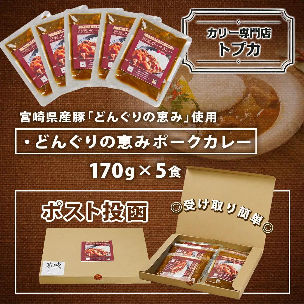 トプカ☆どんぐりの恵みポークカレー5食セット※ポスト投函_LD-J903_(都城市) カレー専門店 手づくり ポークカレー レトルト ポスト投函
