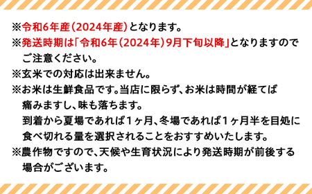 C2-M05Z【12ヶ月連続お届け】新潟県魚沼産特別栽培米コシヒカリ無洗米5kg（長岡川口地域）