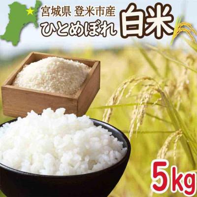 ふるさと納税 登米市 宮城県登米市産 ひとめぼれ 白米 5kg【令和7年産】