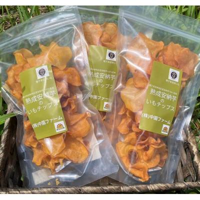 ふるさと納税 西之表市 中園ファームの熟成安納芋の黄金塩チップス
