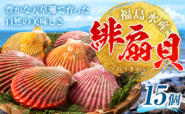 緋扇貝 贈答 お歳暮 ヒオウギガイ 西日本限定発送 15個 福島水産《11月上旬-2月末頃出荷》檜扇貝 生食 貝柱 天草 苓北 熊本 貝 かい ソテー バーベキュー カラフル 二枚貝 送料無料＜ 先行予約 ＞【配送不可地域あり】---e05r605---