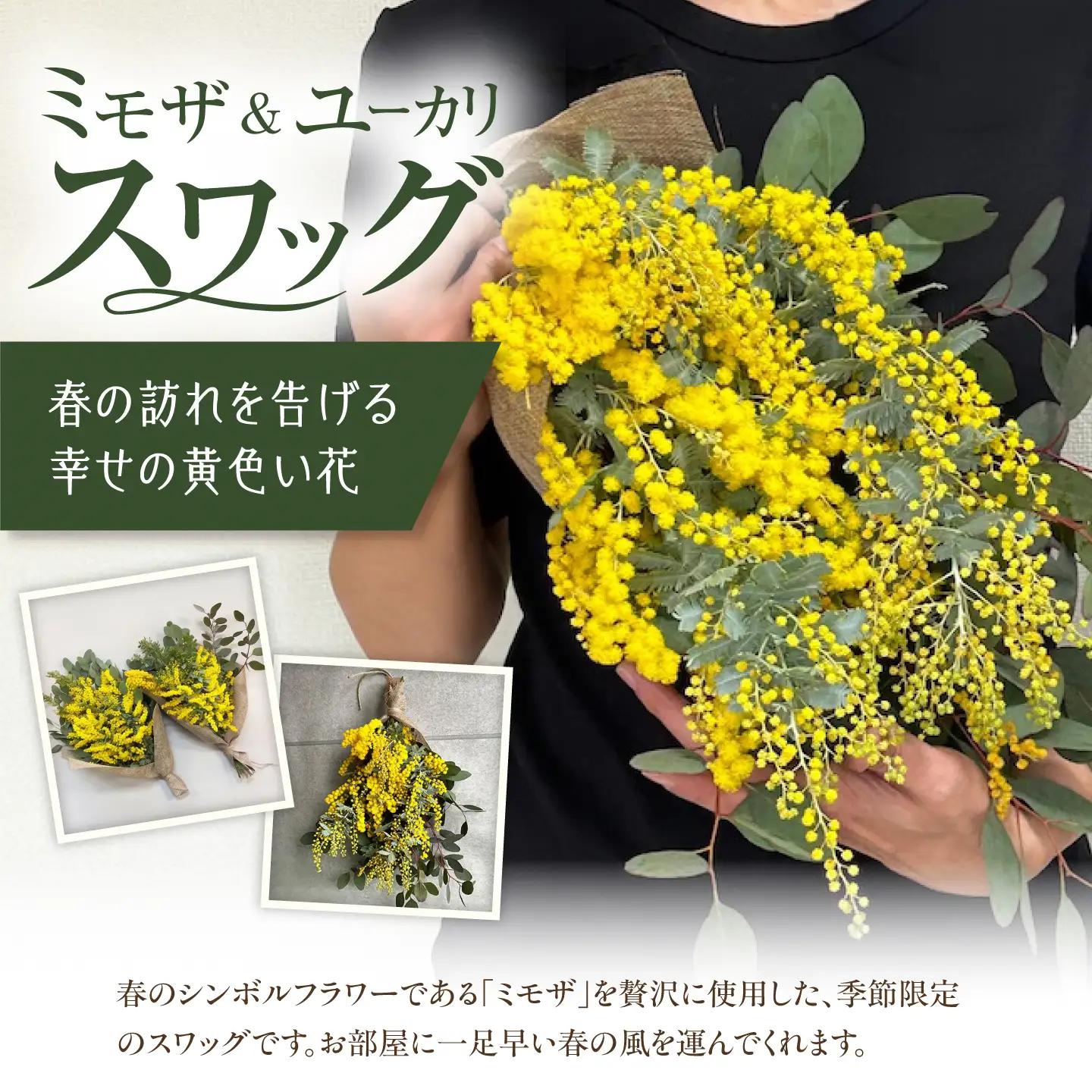 雑貨 ユーカリとミモザのスワッグ BLAW001