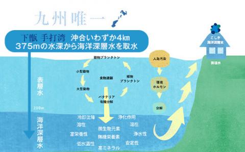 AS-714 竜宮伝説(硬度100) 5年間保存水 500ml×24本 こしき海洋深層水