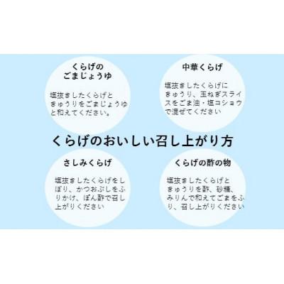 ふるさと納税 鹿島市 佐賀県産計1000g生クラゲ |  | 01