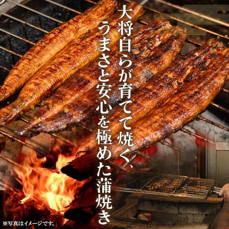 【定期便】うなぎ蒲焼き | うなぎ 定期便 国産 うなぎ 定期便 うなぎ 定期便 Wun-0021