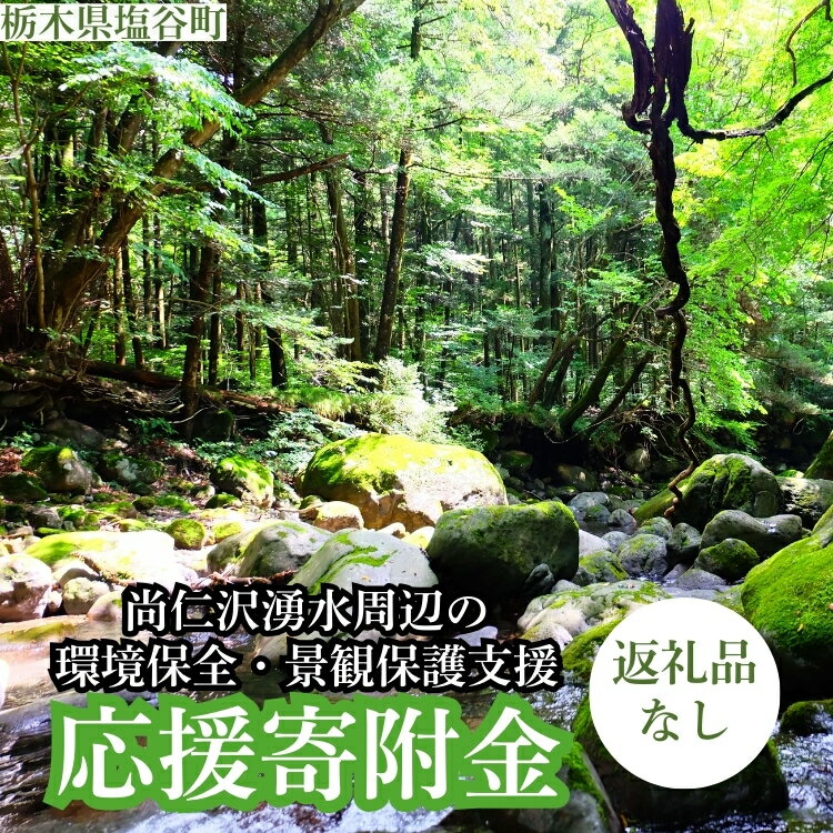 【ふるさと納税】【返礼品なし】栃木県塩谷町 尚仁沢湧水周辺の環境保全・景観保護支援 応援寄附金