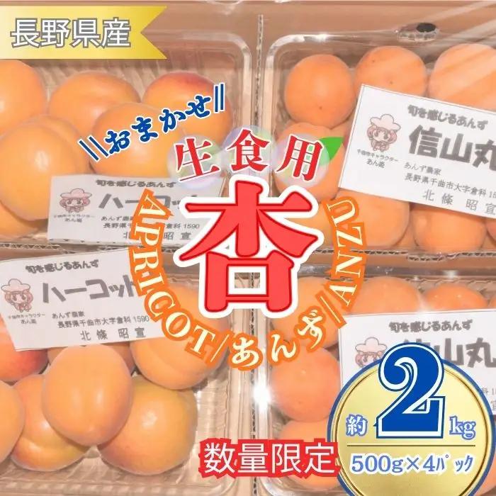 【2027年先行予約】あんず おまかせ生食用(ハーコット・信山丸・おひさまコット・ニコニコット) 計約2kg  | あんず