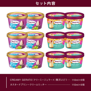 【数量限定】ハーゲンダッツ ミニカップ 12個 (CREAMY GELATO 贅沢ぶどう＆カスタードプリン)アイス ジェラート_H0016-168