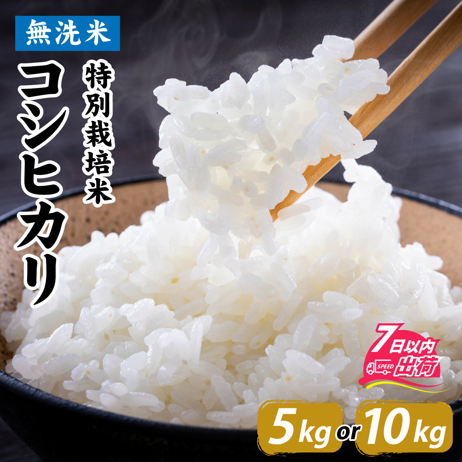 【ふるさと納税】令和7年産【無洗米】特別栽培米 福井県産コシヒカリ 選べる容量 5kg or 10kg(5kg×2袋) [A-020031] / 白米 無洗米 こめ コメ 米 有機適合肥料100% 5キロ 10キロ 真空パック もっちり 甘い 米 こしひかり 国産 福井県 福井市 東郷