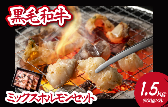 【自社農場和牛】黒毛和牛ミックスホルモン 1.5㎏（国産 黒毛和牛 牛肉 ホルモン 焼肉 鍋 もつ鍋 BBQ 冷凍）