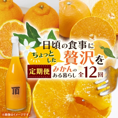 【発送月固定定期便】みかんのある暮らし全12回【H31−33】【配送不可地域：離島】【4000707】