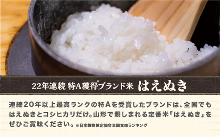 令和7年産 新米 精米 はえぬき 10kg 5kg×2袋 配送時期選べる 1月上旬~3月下旬発送 2025年産 米 お米 国産 山形県 尾花沢市 kh-hasxa10