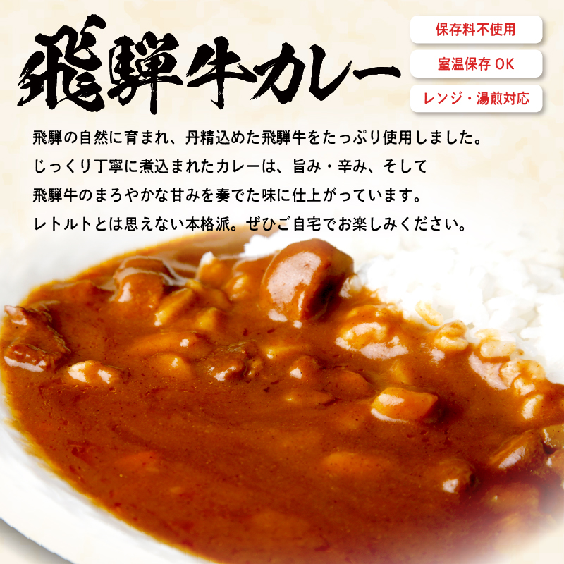 飛騨牛 カレーセット【0016-010】_イメージ2