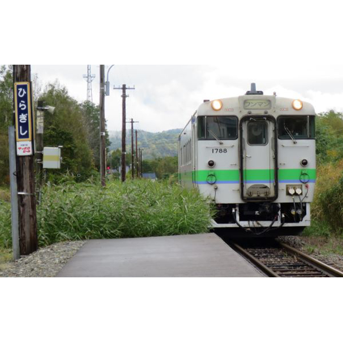 ◆平岸駅◆mini駅名標 雑貨 日用品 駅名標グッズ 鉄道ファン _イメージ3