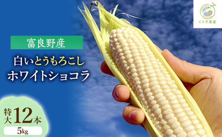 とうもろこし 富良野産 ホワイトショコラ 白 特大 とうもろこし【12本 約5kg】