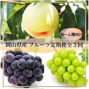 【発送月固定定期便】岡山県産 フルーツ定期便＜お一人様向け＞全3回【配送不可地域：離島・北海道・沖縄県】【4066370】