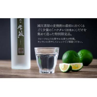 ふるさと納税 臼杵市 創業150周年記念酒★麦焼酎常蔵「ハナタレ」(300ml) |  | 01
