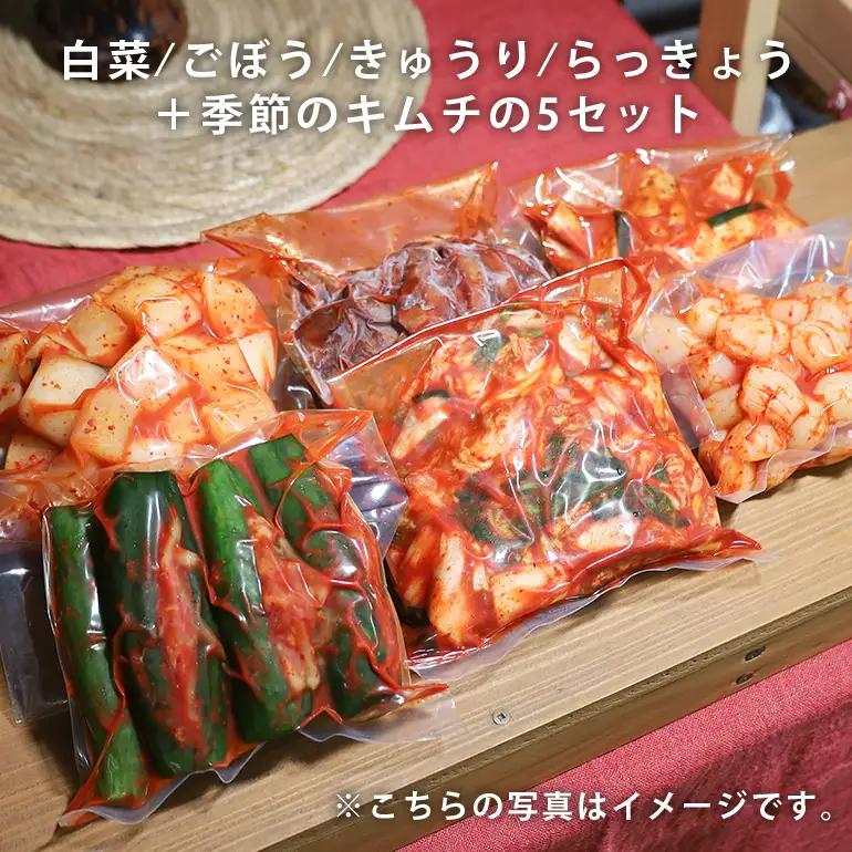 【ふるなびWEEK対象】キムチ 5種 (きゅうり らっきょう ごぼう 白菜 季節のキムチ)セット 2.1kg ～ 2.7kg (1袋 約350～450g×5種類) AF-003