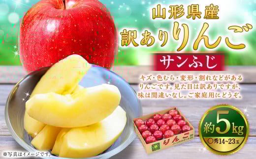 【訳あり品】 りんご（サンふじ・〇秀） 約5kg 14玉～23玉   リンゴ 林檎 果物 【2025年11月下旬～12月上旬発送予定】