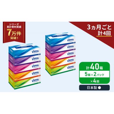 ふるさと納税 岩沼市 定期便 ティッシュ クリネックス ティシュー 5箱入×2P《計4回》 [No.5704-1044] |  | 01