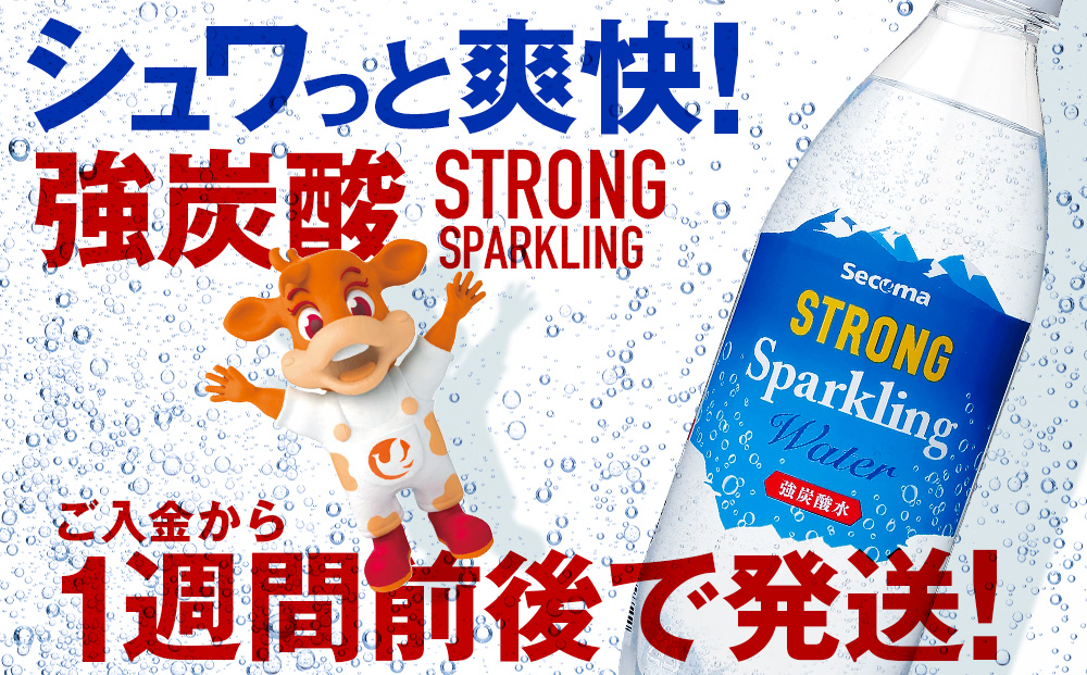 【定期便隔月6回】セコマ 強炭酸水 500ml 24本 1ケース 北海道 千歳製造 飲料 炭酸 ペットボトル