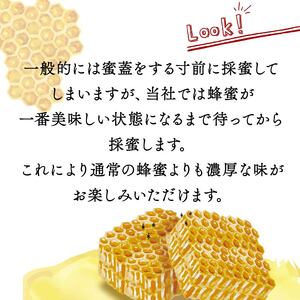 はちみつ【百花蜜】500ml 純粋 蜂蜜 非加熱 国産はちみつ