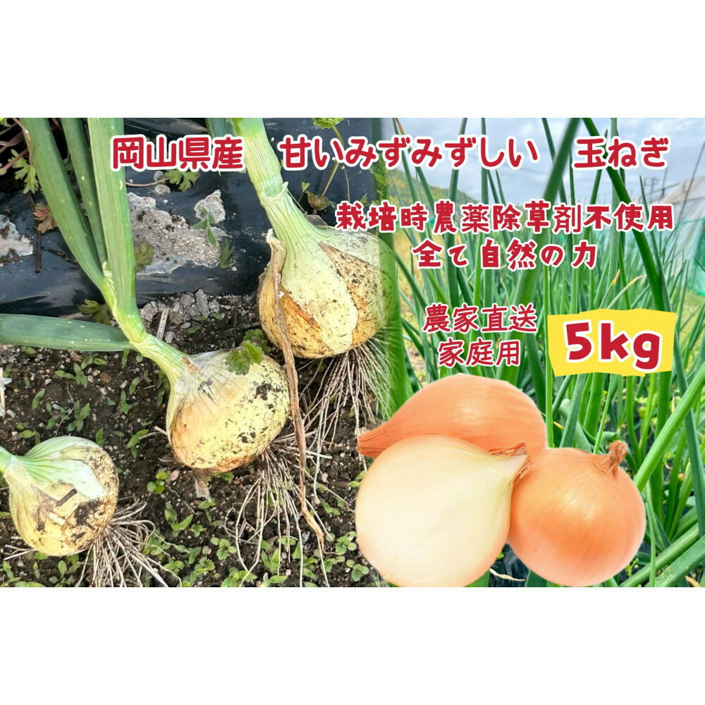 【ふるさと納税】甘すぎ新鮮岡山市産 玉ねぎ5kg 減化学肥料 家庭用 タマネギ 生食 健康 野菜 食品 栽培期間中農薬・除草剤不使用全て自然の力健康野菜 訳あり(サイズ混合) | 野菜 やさい 食品 人気 おすすめ 送料無料