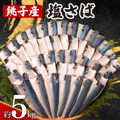 ふるさと納税 銚子市 銚子産　塩さばフィレ　5kg