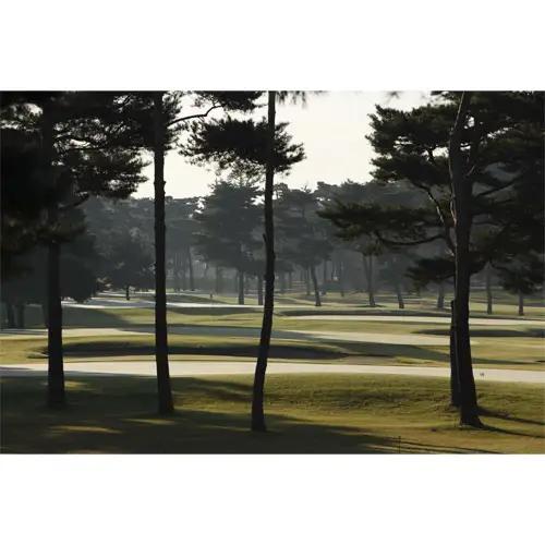 【会員限定】大利根カントリークラブ利用券＊15000円（利用券3000円×5枚） ／ ゴルフ golf GOLF ごるふ ゴルフ場 チケット ちけっと 体験 プレー券 利用券 ゴルフ場利用券 記憶に残