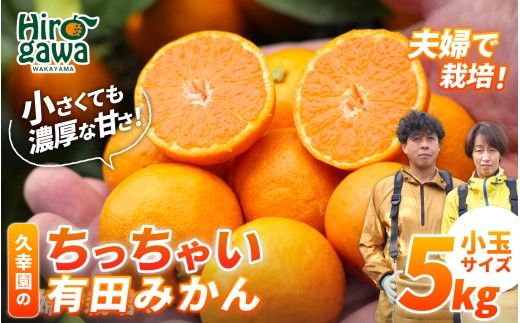 ちっちゃい 有田 みかん 5kg 久幸園 / 温州みかん 有田みかん 甘い 小玉 和歌山 柑橘 ※11月下旬〜12月下旬に順次発送予定【hsk004-s-5A】