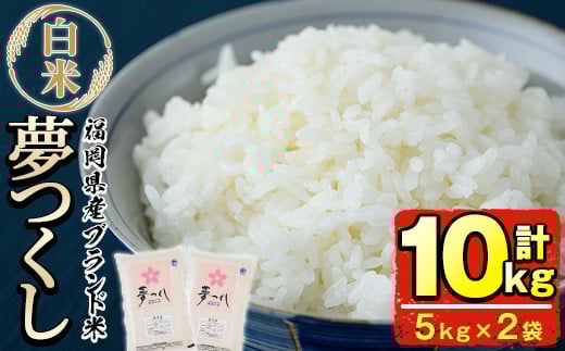 
                  ＜令和7年産＞福岡県産ブランド米「夢つくし」白米(計10kg・5kg×2袋) お米 10キロ ごはん ご飯【ksg0372】【朝ごはん本舗】
                