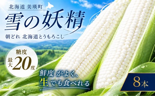 【令和9年産先行予約】北海道 朝もぎ とうもろこし 8本 （ 雪の妖精 ）【令和9年8月中旬発送】 スイートコーン 《美瑛町》【黒木農場】 ホワイトコーン とうもろこし トウモロコシ トウキビ とうきび toumorokoshi 北海道 北海道産 新鮮 甘い 糖度 朝どれ 朝採れ 甘いとうもろこし 甘い 野菜 採れたて野菜 冷蔵 夏野菜 極甘 旬 産地直送 [009-45]