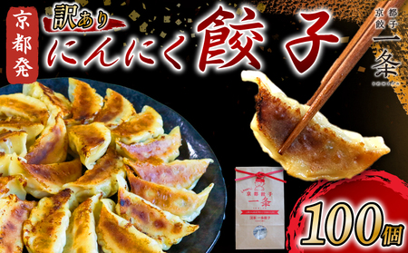 訳あり にんにく餃子100個 冷凍 京都餃子 餃子餃子餃子餃子餃子 227