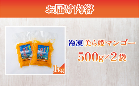 冷凍美ら姫マンゴー 1kg（500g×2袋）CB-3