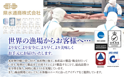 【県水の熟成まぐろ】漁師作りプレミアム　計約1.0kg｜高品質 ねぎとろ 鮪 まぐろ 脂 たたき まぐろのたたき メバチ キハダ 寿司 すし 海鮮 小分け 海鮮丼 手巻き寿司 神奈川 相模原 ※北海道・沖縄・離島への配送不可