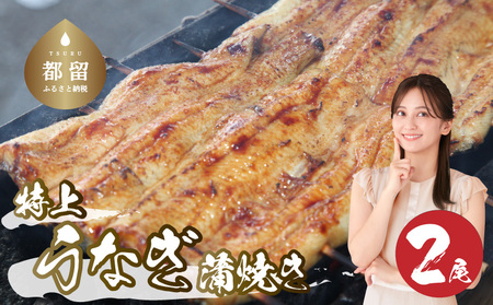 うなぎの蒲焼（半カット）2尾　380g以上 うなぎ ウナギ 鰻 かば焼き 蒲焼 冷凍 タレ うな重 うな丼 おすすめ 山椒　国産うなぎ