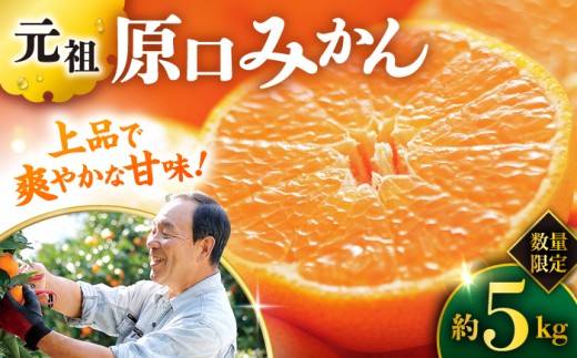 【元祖 原口 みかん 】【11月下旬より配送開始予定】約5kg / みかん 先行予約 ＜原口果樹園＞ [CCW001] みかん 蜜柑 原口みかん 西海みかん 贈答 ギフト 長崎県産 みかん  西海 蜜柑 柑橘 ミカン フルーツ 果物 くだもの 産地直送 国産 mikan 先行予約 みかん / 西海市