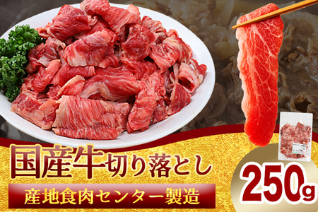 ★先行予約 2月中旬より発送★ 国産牛 切り落とし 250g 牛肉 DV069 