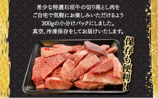 【2025年11月以降順次発送】希少な特選石垣牛をご家庭で！！切り落とし焼肉用300g&石垣牛 MARU秘伝の焼肉タレ100ml×1本 | 沖縄 石垣 特選 牛 切り落とし 焼 肉 タレ | IM-3